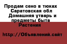 Продам сено в тюках - Саратовская обл. Домашняя утварь и предметы быта » Растения   